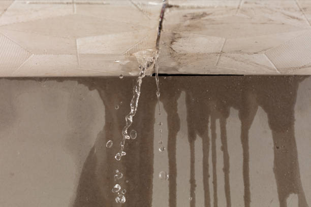 Professional Sewage Cleanup technician working in Longboat Key, FL